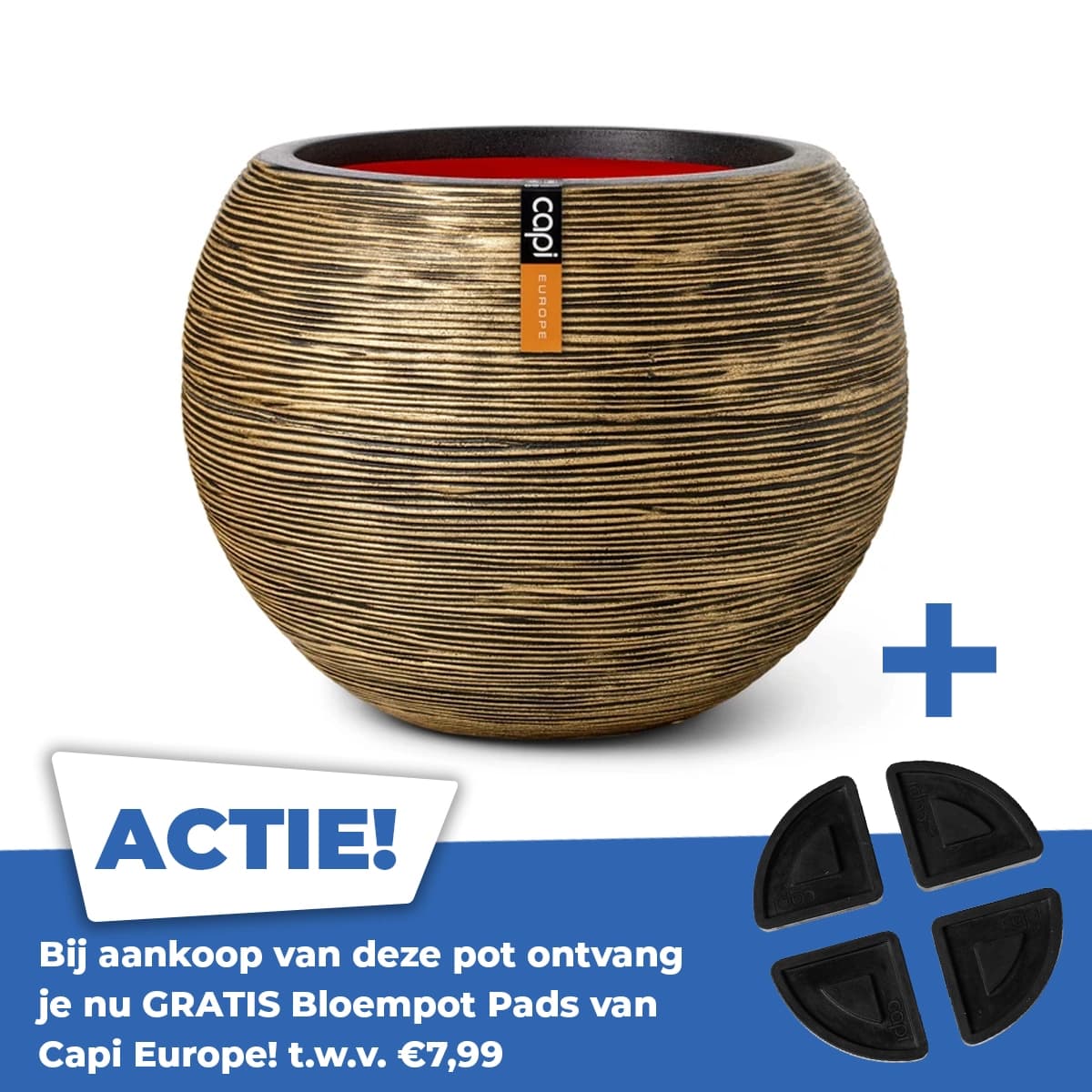 Vaas bol rib nl ii d62xh48 zwart gd