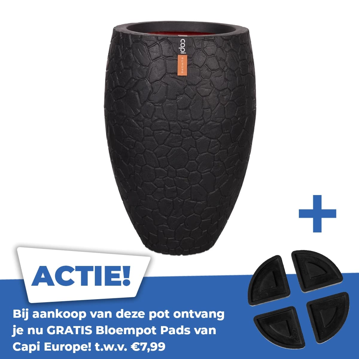 Vaas eleg deluxe clay nl 56x84 zwt