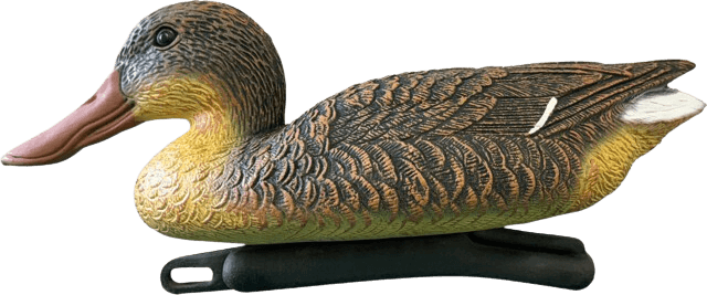 Superfish Slobeend